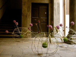 Mistral Ratatouilleart