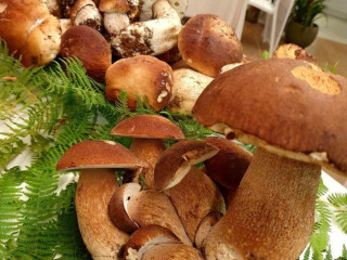 Capannina Ciccio