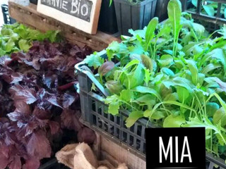 Mia