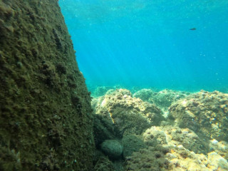 Bagni Acquarium Moneglia