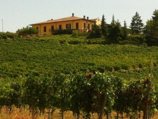 Tenuta La Romana