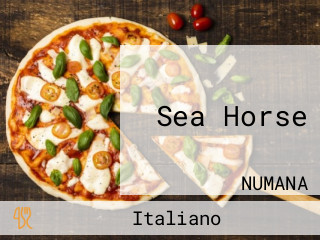 Sea Horse
