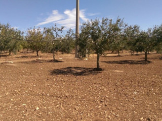 Parco Laurito Ricevimenti
