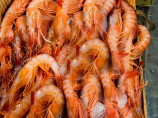 Casa Del Pesce Di Di Falco Francesco E C.