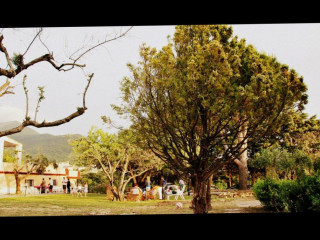 Skyra Resort