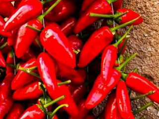 Taste Of Calabria