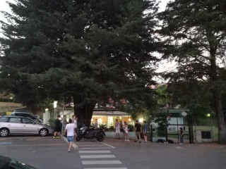 La Gatta Mimì