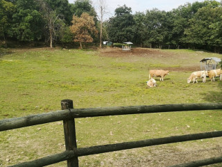 St. Florian's Rural Park