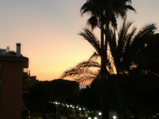 Mayola