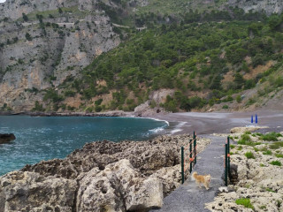 Mandola Attilio Base Nautica Am