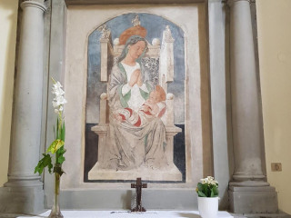 The Garden