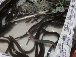 Pescheria Da Cesarino