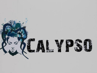 Calypso Fish Crock
