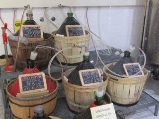 Vinopiu
