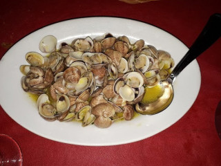 Il Gabbiano