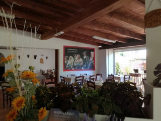 La Pineta