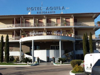 Aquila