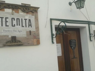Vite Colta