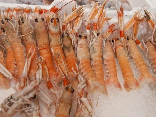 Zio Pesce