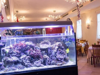 Pizzeria Montegrappa Hmg