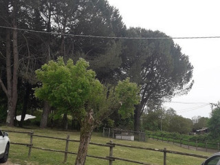 Il Castagno