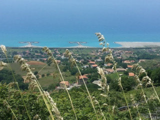 La Petrulla