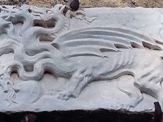 Gatto Nero