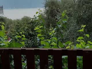 Fornico