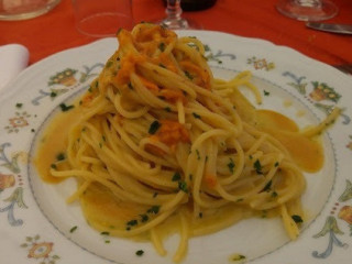 La Gorgonia