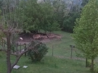 La Cova Del Cervo