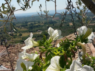 Al Castello