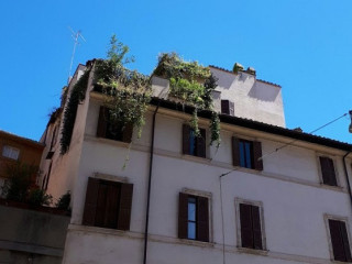 Cibus Café