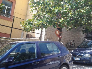 Pasticceria Di Noto
