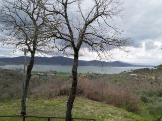 Montalcino