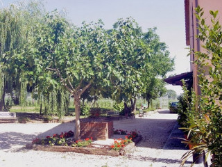Agriturismo Il Magnifico