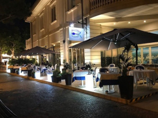 All Fish Carducci