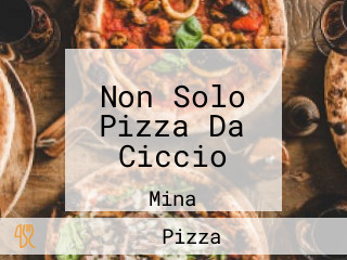 Non Solo Pizza Da Ciccio