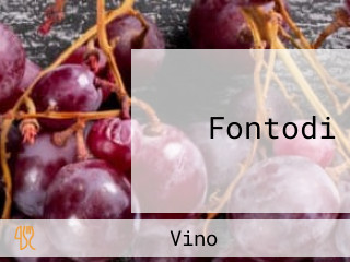 Fontodi
