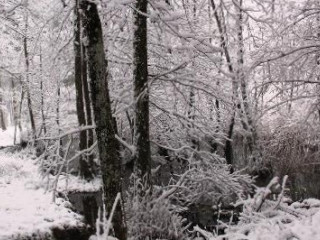 Rifugio Asqua