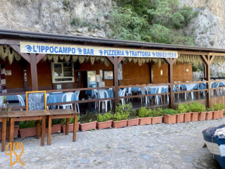 Trattoria Ippocampo