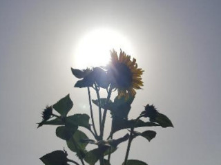 In Campagna Da Clara