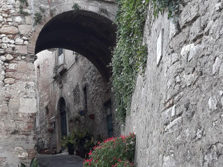 Il Chicco D'oro Amelia