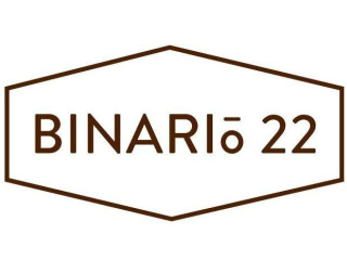 Binario 22