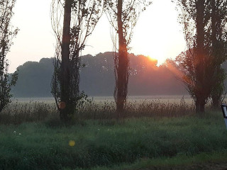 Campo Di Grano