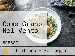 Come Grano Nel Vento