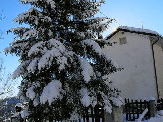 Botteghe Calabre Caminia