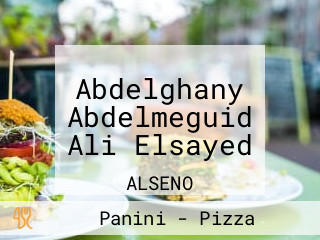 Abdelghany Abdelmeguid Ali Elsayed