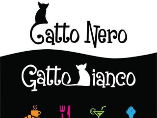 Gatto Nero Gatto Bianco