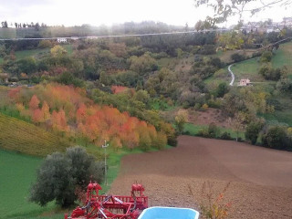 Agriturismo Le Piagge Vicino Grotte Di Frasassi, A Jesi Nelle Marche