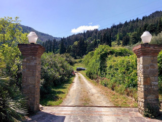 Ceccatelli Gianna Maria Pia